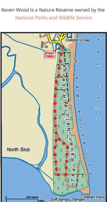 The Loft Curracloe, On Wexfords Coastal Scenic Route 아파트 외부 사진